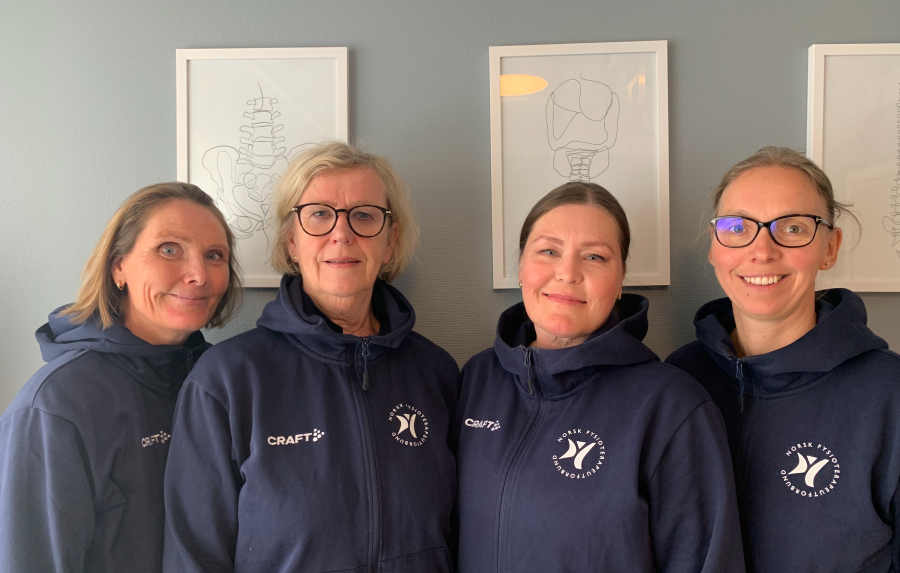 Moa-Fysikalske-team